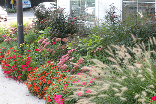 Post Office Garden (located at the Post Office on Hubbard Road)